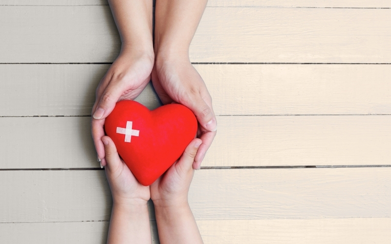 Zwei Hände halten ein rotes Herz.